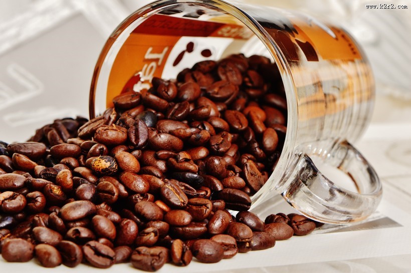 颗粒饱满的咖啡豆图片大全