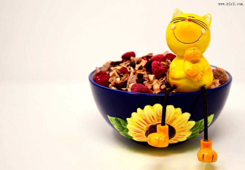 营养早餐燕麦图片