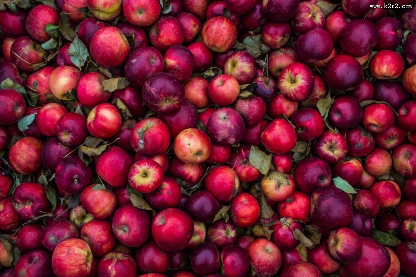 香甜营养的苹果图片