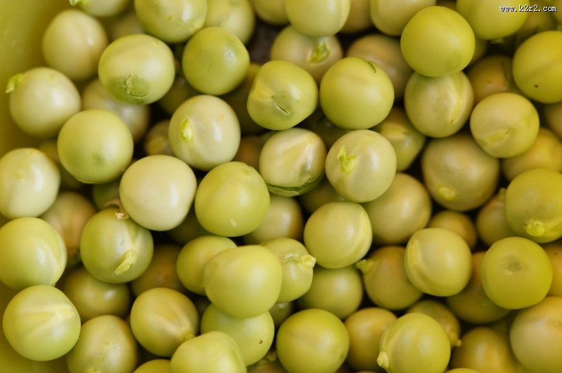 圆圆的豌豆图片