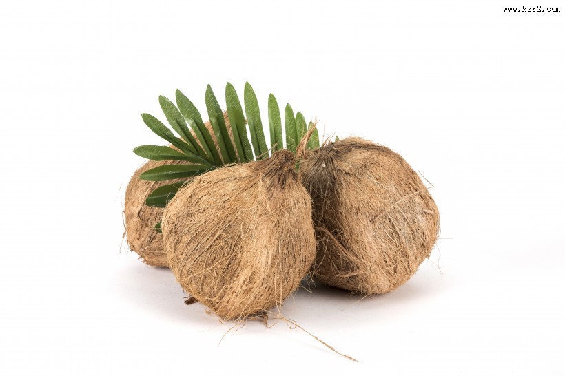 夏日清凉水果饮料椰子图片