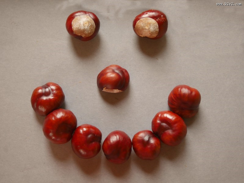 新鲜美味的板栗图片大全