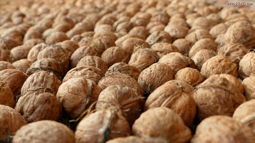 成堆的核桃图片