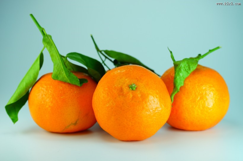 新鲜美味的橘子图片大全