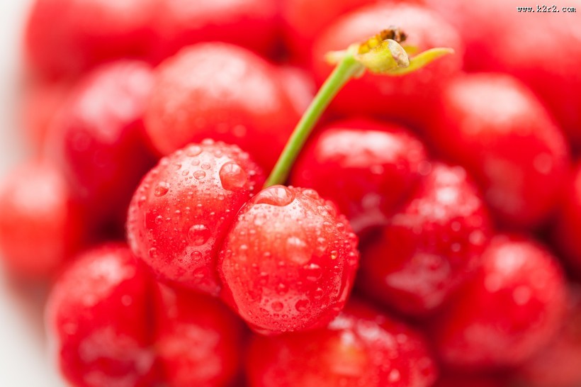 美味可口的车厘子图片