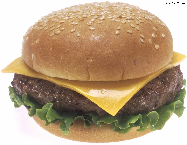 看起来不大好吃的汉堡包图片