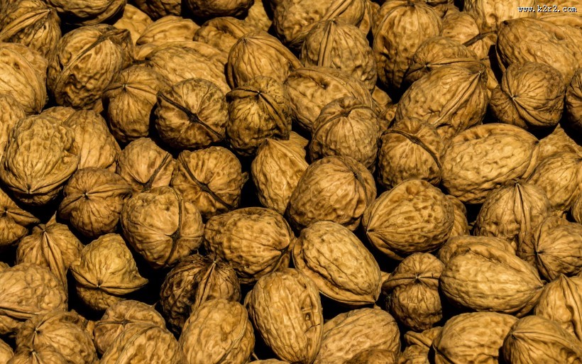 营养丰富的核桃图片大全