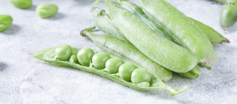 绿色营养的豌豆图片