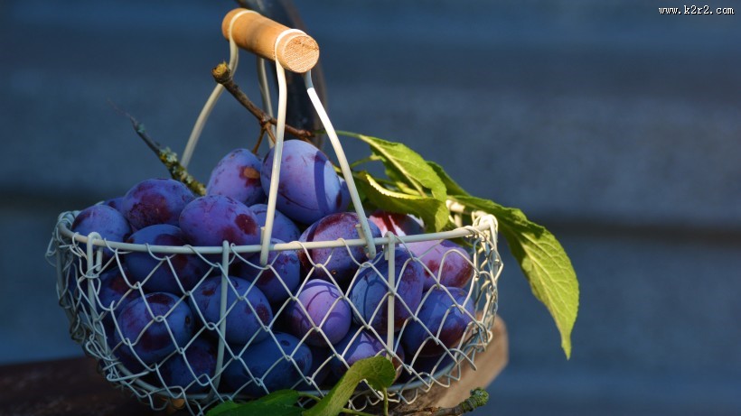 美味的西梅图片