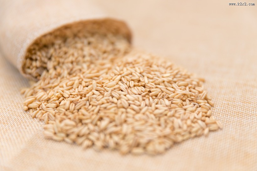 营养健康五谷杂粮燕麦图片