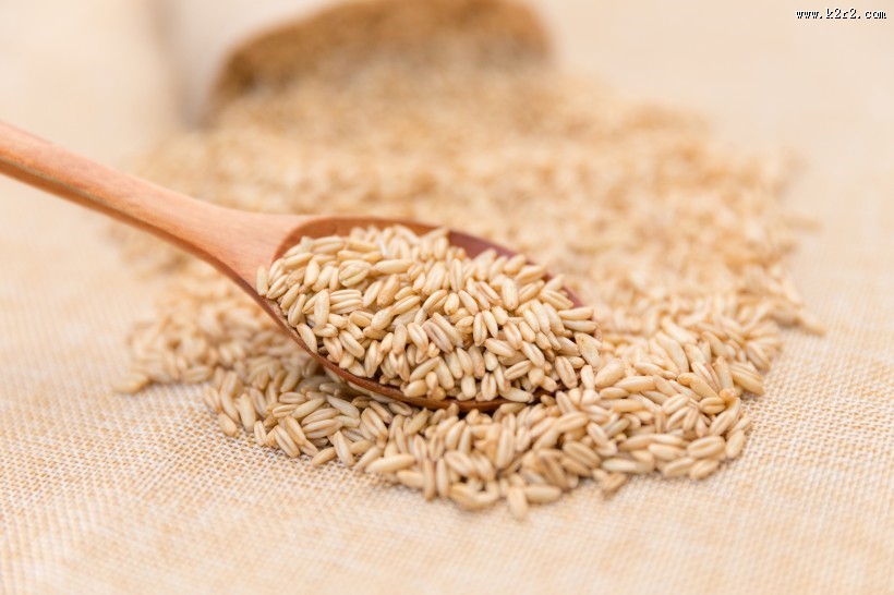 营养健康五谷杂粮燕麦图片
