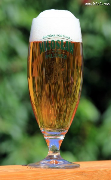 玻璃杯中的啤酒图片大全