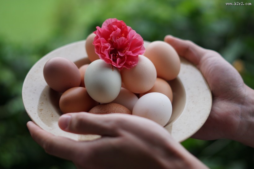 新鲜的鸡蛋图片大全