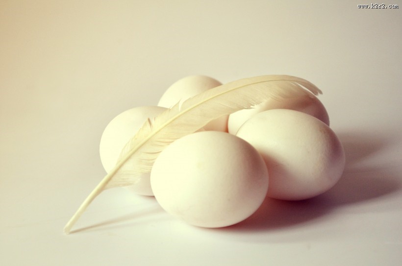 新鲜的鸡蛋图片大全