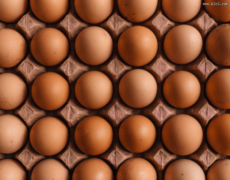 新鲜的鸡蛋图片大全