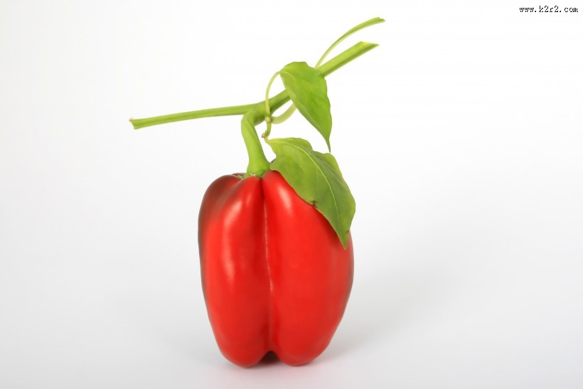 粗壮的菜椒图片大全