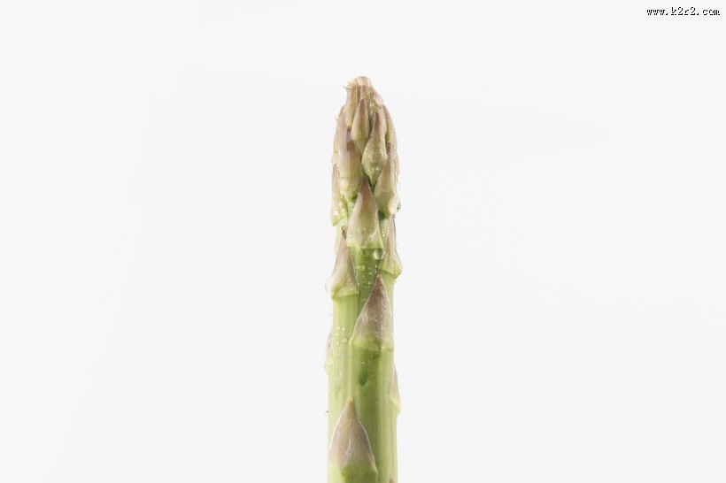 绿色芦笋图片大全