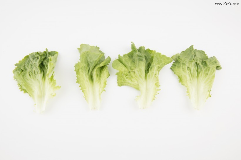 绿色生菜图片