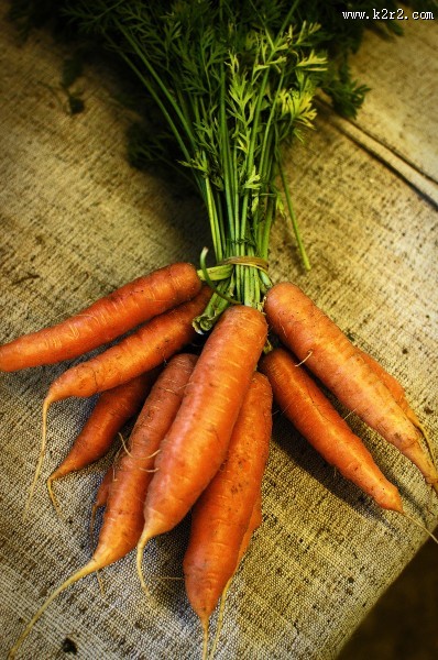 新鲜营养的胡萝卜图片大全