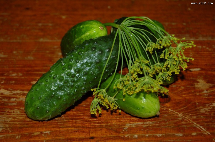 新鲜的黄瓜图片