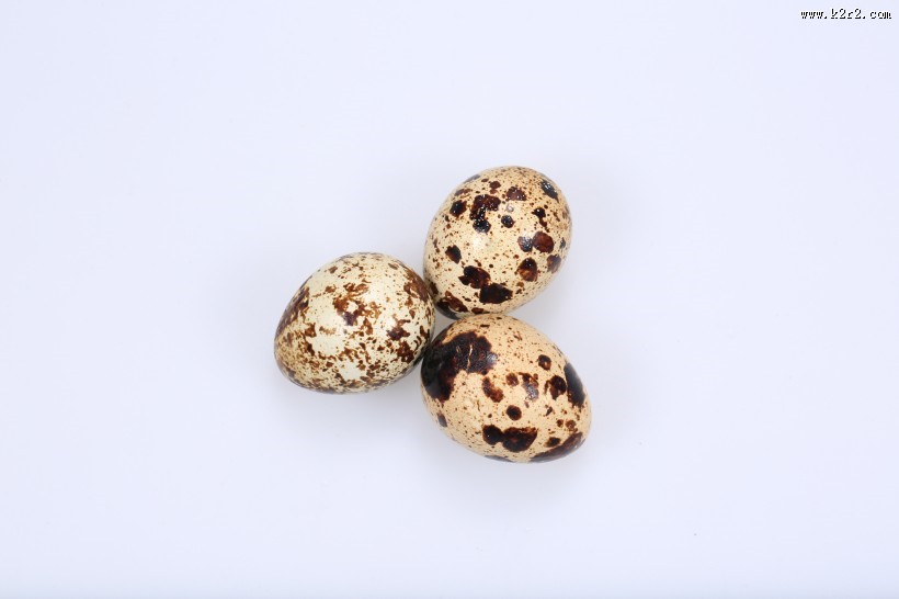 营养丰富的鹌鹑蛋图片大全