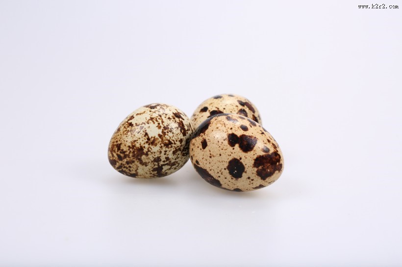营养丰富的鹌鹑蛋图片大全