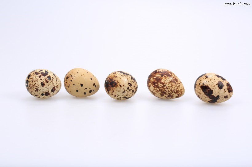 营养丰富的鹌鹑蛋图片大全