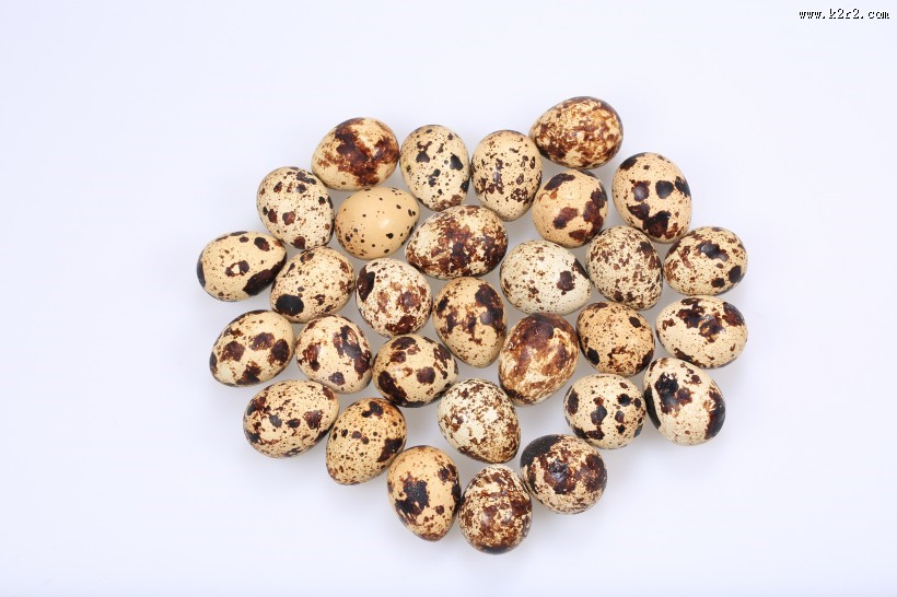 营养丰富的鹌鹑蛋图片大全
