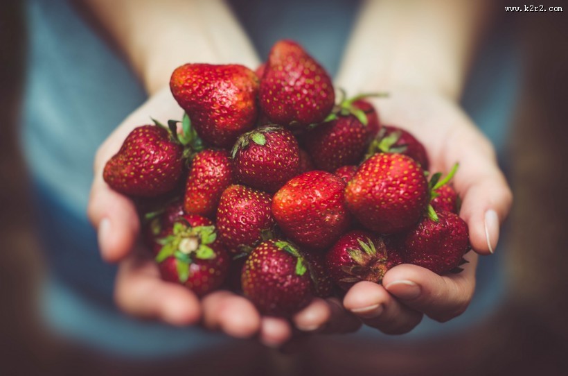 新鲜的草莓图片大全