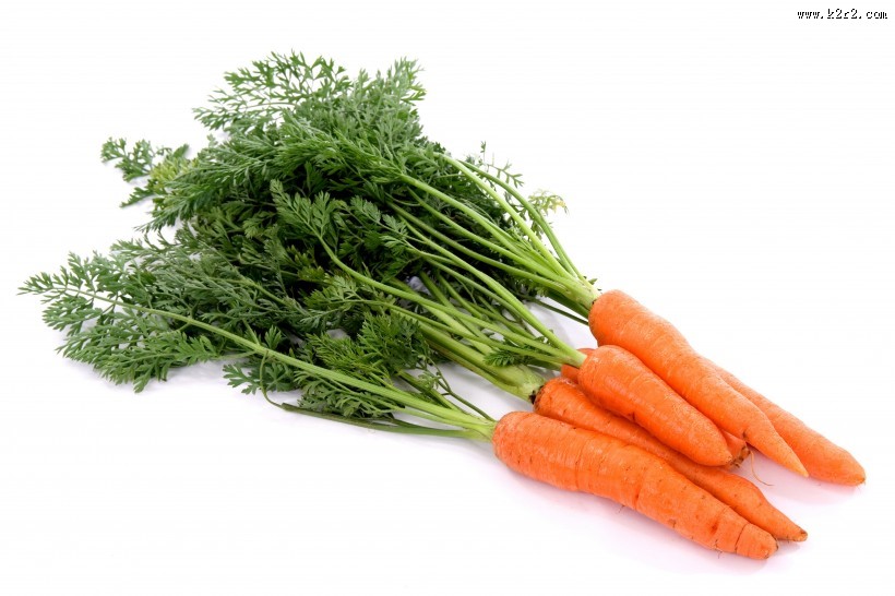 水嫩的胡萝卜图片