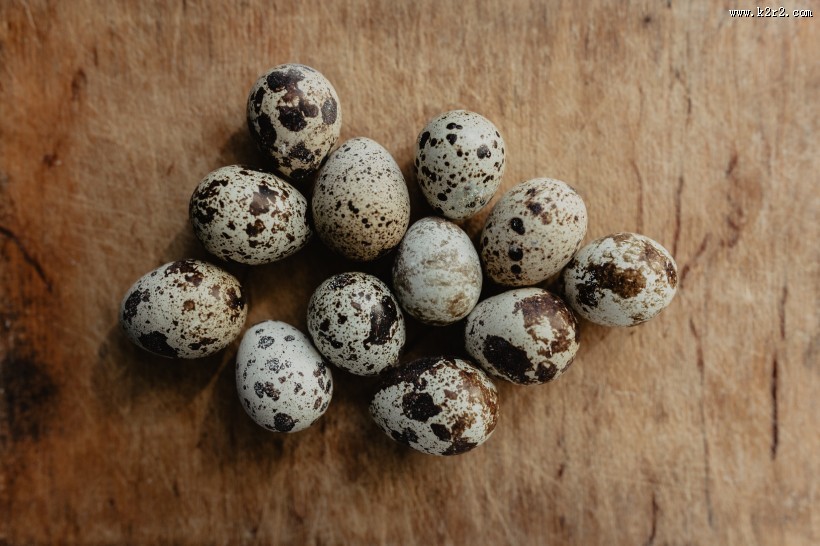 营养美味的鹌鹑蛋图片
