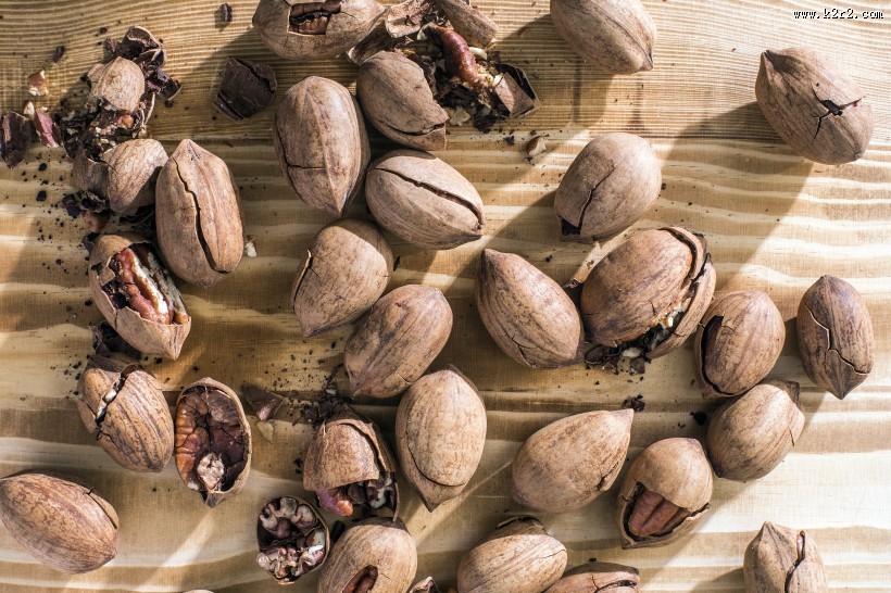 营养碧根果零食坚果图片