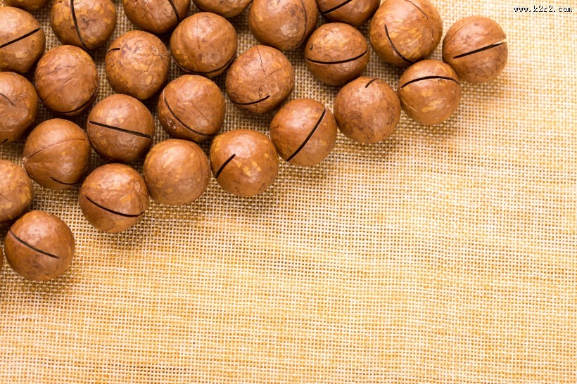 营养美味的夏威夷果图片