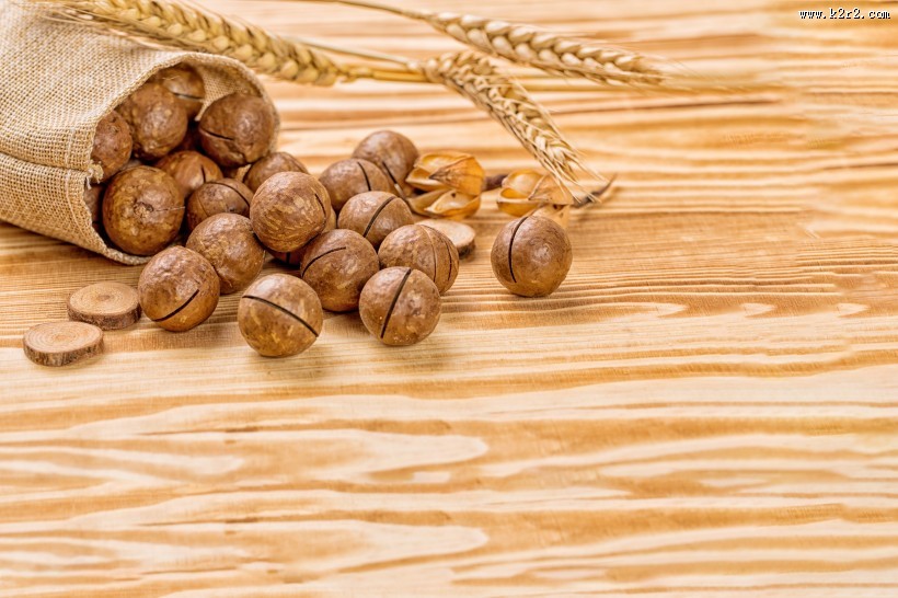 营养美味的夏威夷果图片