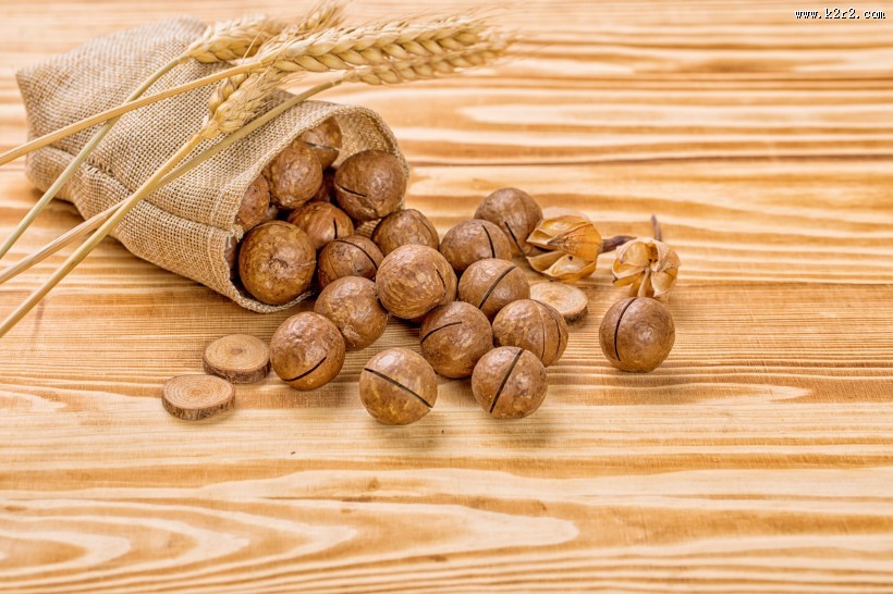 营养美味的夏威夷果图片