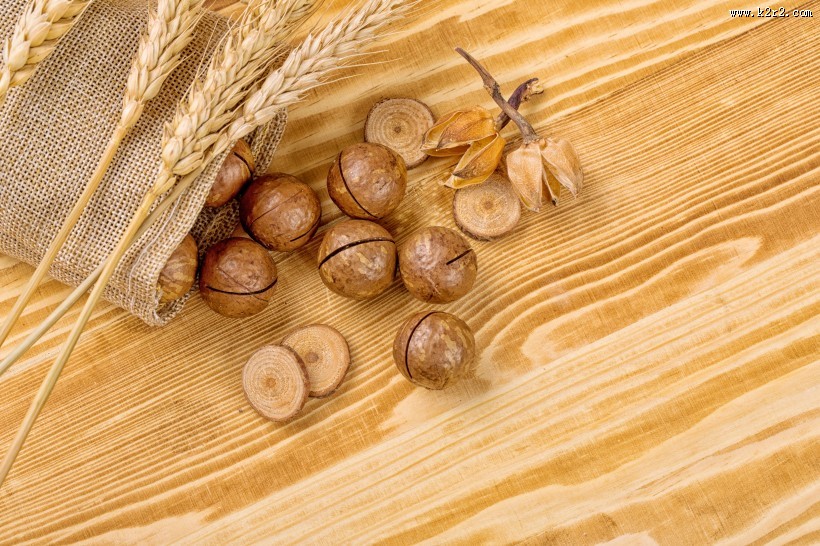 营养美味的夏威夷果图片