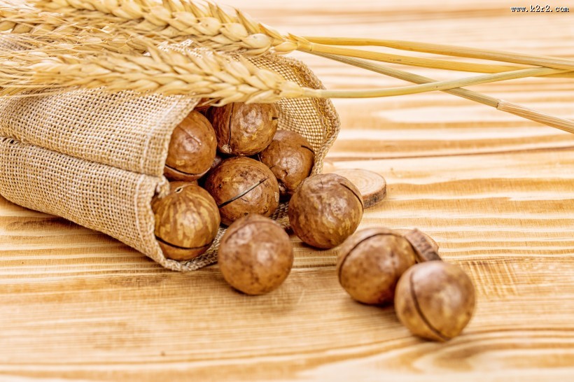 营养美味的夏威夷果图片