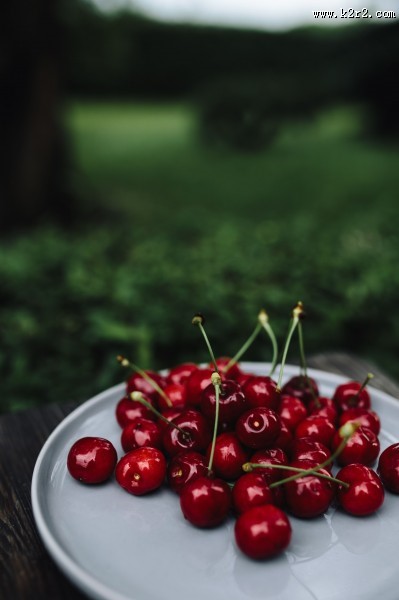 美味的樱桃图片