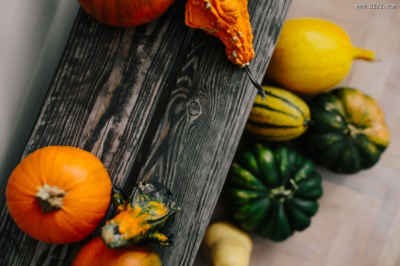 奇形怪状的南瓜图片