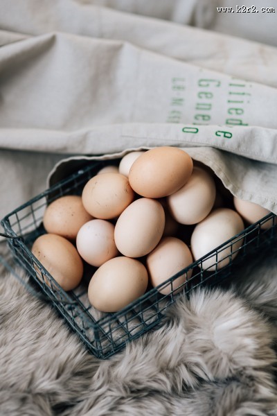 新鲜的鸡蛋特写图片