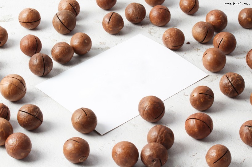 好吃又营养的夏威夷果图片大全