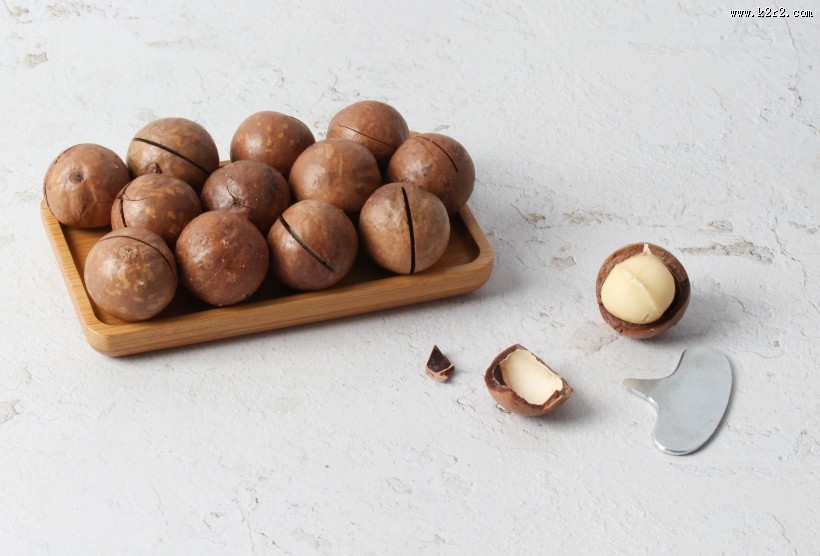 好吃又营养的夏威夷果图片大全