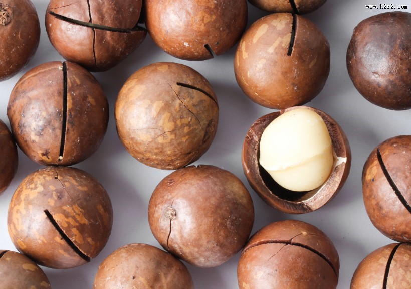 好吃又营养的夏威夷果图片大全