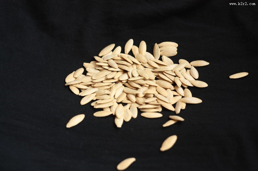 白色南瓜子图片