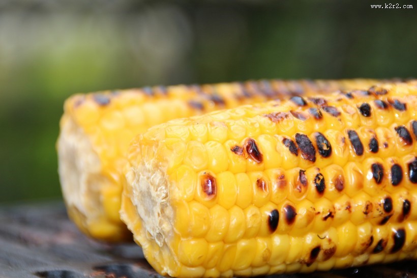童年记忆烤玉米图片