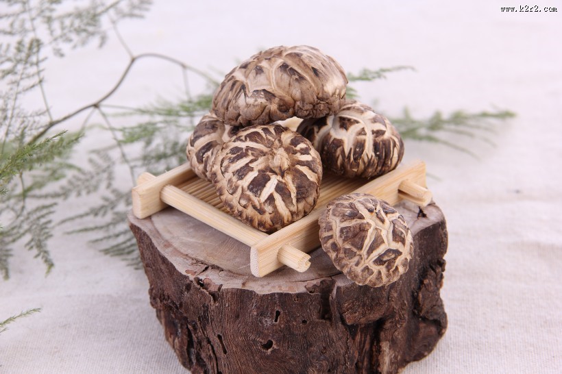 营养好吃的花菇图片