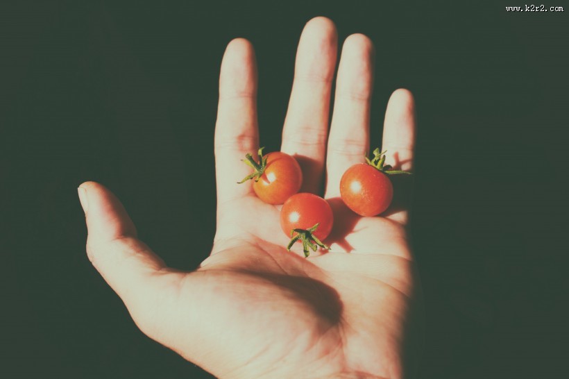 美味的小番茄图片