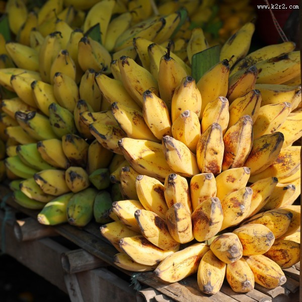 一堆香蕉图片