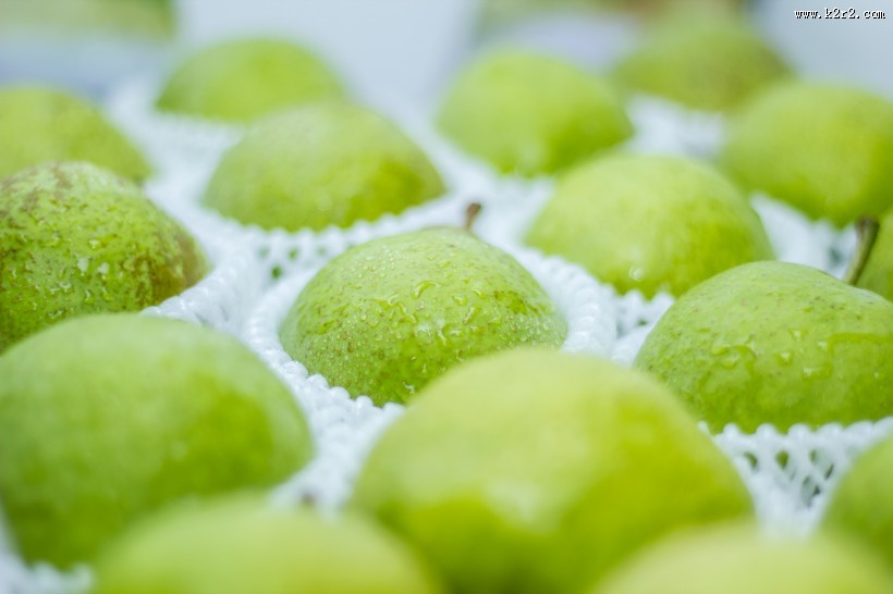 诱人的酸梨图片