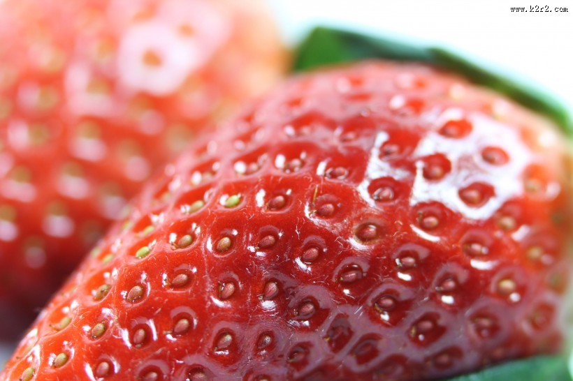 美味可口的红色草莓图片